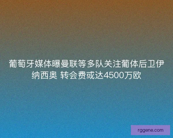 葡萄牙媒体曝曼联等多队关注葡体后卫伊纳西奥 转会费或达4500万欧