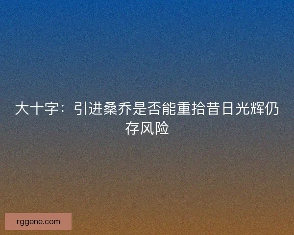 大十字：引进桑乔是否能重拾昔日光辉仍存风险